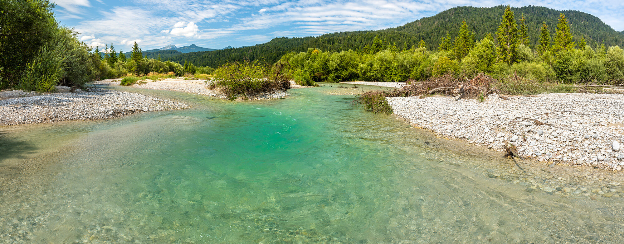 Isar